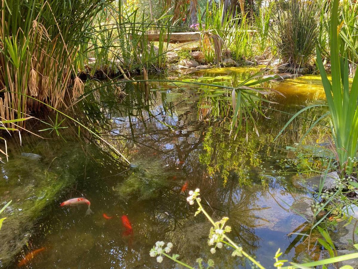 Vila El Canto De Las Ranas Barbate Exteriér fotografie